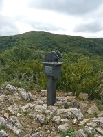 Cogollako txartelontzia