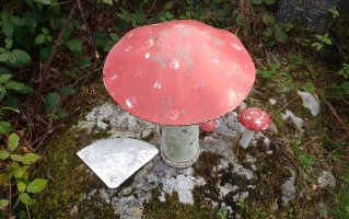 Agerreburu tontorra (835m) 2