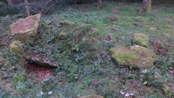 Agerreburu Trikuharria 3