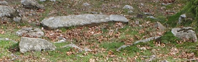 Pagarreta trikuharria 1