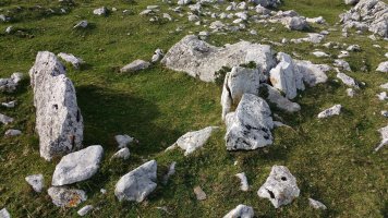 Kalparmuñobarrena trikuharria 4