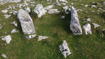 Kalparmuñobarrena trikuharria 2