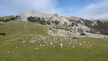 Pagobakoitza trikuharria 2