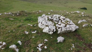 Gorostiaren Sart. trikuharria 3