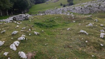 Gorostiaren Sart. trikuharria 2