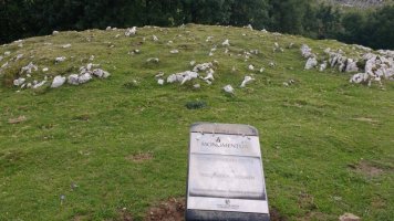 Gorostiaren Sart. trikuharria (2017)