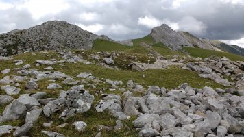 Aizkorritxo trikuharria 4