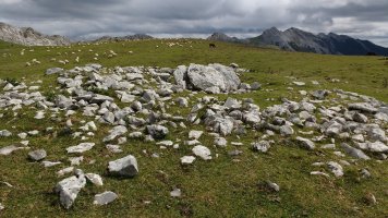 Artzanburu trikuharria 3