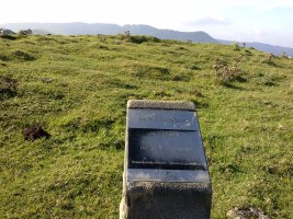 Ausokoi II trikuharria (2017)