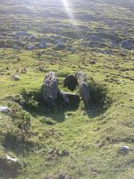 Ausokoi trikuharria 4