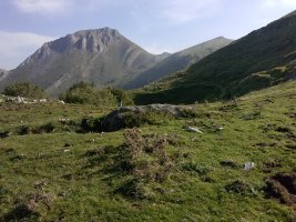 Ausokoi trikuharria 3