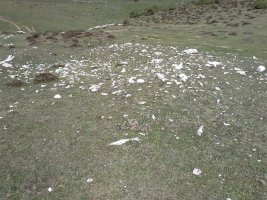 Fuente Fria (Iturriotz) trikuharria 4