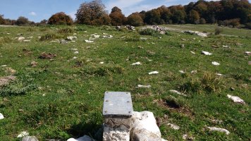 Bekosare trikuharria 2