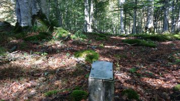 Artzeiturrieta (Arantzadia) trikuharria (2017)