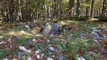 Lubierri 1 ekialde (Obas) trikuharria 3