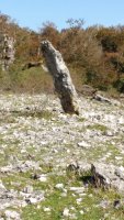 Bretxagaina (Mugako-Arriya) zutarria 7