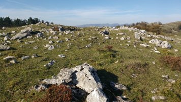 Sta. Marina (Txopordi) trikuharria 5