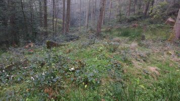 Matxitxane trikuharria 3