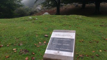 Arraztarangaina trikuharria (2017)