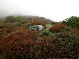 Urkitzako Lepoa trikuharria 3