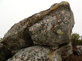 Aspoarri zutarria 2