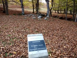 Pagomakor trikuharria (2017)