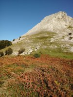 Anbotoste trikuharria (2017)