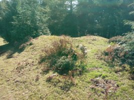 Pagazabal M. trikuharria 3