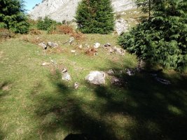 Pagazabal M. trikuharria (2017)