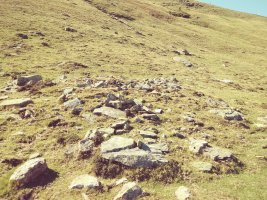 Igitaia trikuharria 3