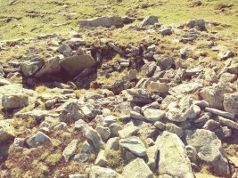 Igitaia trikuharria 2