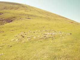 Igitaia I tumuloa 3