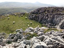 Hirumugarrieta (Intzako Dorrea) (1431m) Ardiak tontorrean
