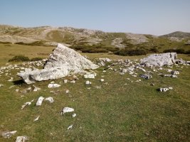 Trikuharri trikuharria 2