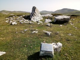 Trikuharri trikuharria (2017)