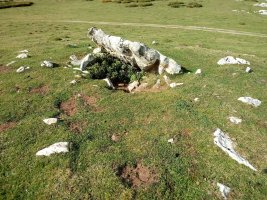 Obioneta Iparra trikuharria 2