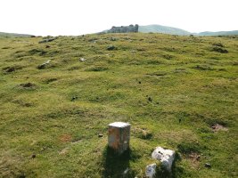 Obioneta Iparra trikuharria (2017)