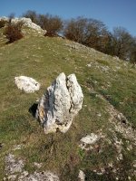 Zelaiaundi zutarria  (2017)