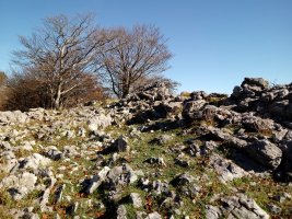 Neberazarra (982m) tontorra