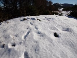 Pagomuneta (769m) tontorra