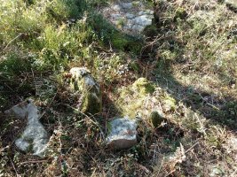 Arratolagaña trikuharria 4