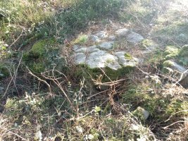 Arratolagaña trikuharria 3