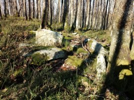 Urietagaña trikuharria 3