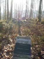 Urietagaña trikuharria (2017)