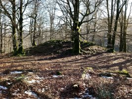 Balankaleku Iparra  trikuharria (2018)