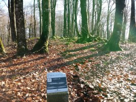 Larreluze trikuharria (2018)