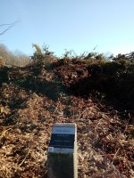 Igartza Ekialdea trikuharria (2018)