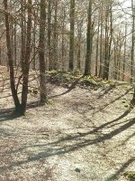 Portuzargaña 2 Mendebaldea trikuharria 3