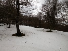 Artzanegi (1214m), gaina