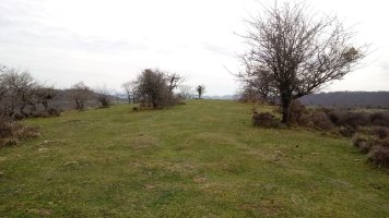 Artekobatza gaina (826m)